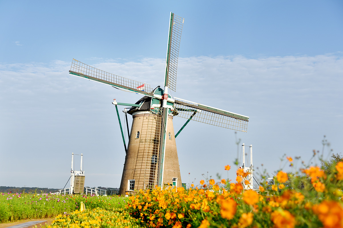 投稿についてもっと詳しく オランダで楽しむ家族向けアクティビティ: 日本人家族のための完全ガイド。オランダの風車、動物園、花園、ミニチュアパーク、野外博物館、遊園地、美術館、伝統料理、運河クルーズ、自転車旅行など